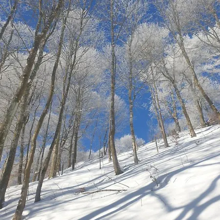 Dagmar's In Apartman *