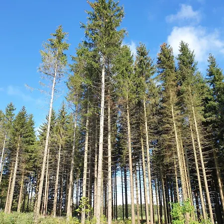 Apartman Dagmar's In *