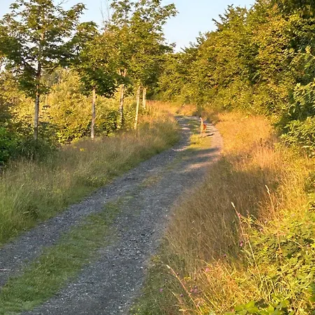 Dagmar's In * Winterberg