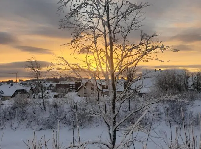 Dagmar's In Apartment