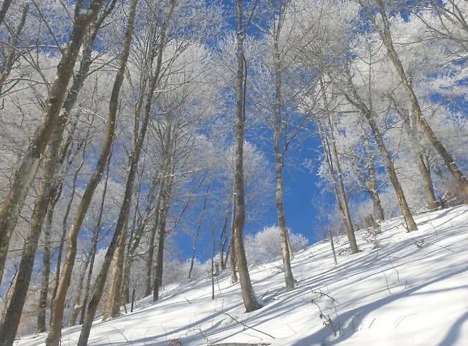 Dagmar's In Lägenhet *