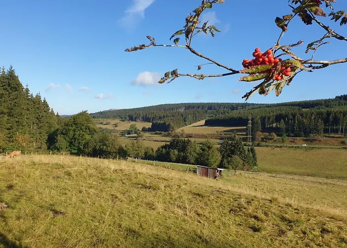 Dagmar's In Lägenhet Winterberg