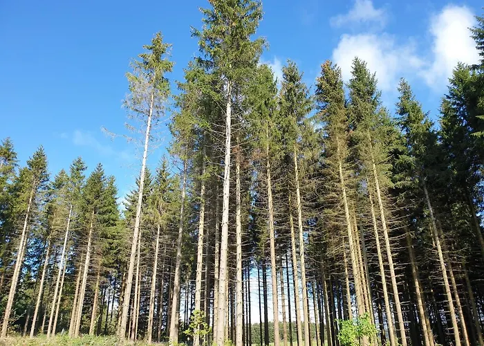 Apartment Dagmar's In *