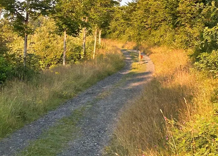 Dagmar's In * Winterberg