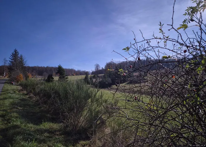 Dagmar's In Apartment